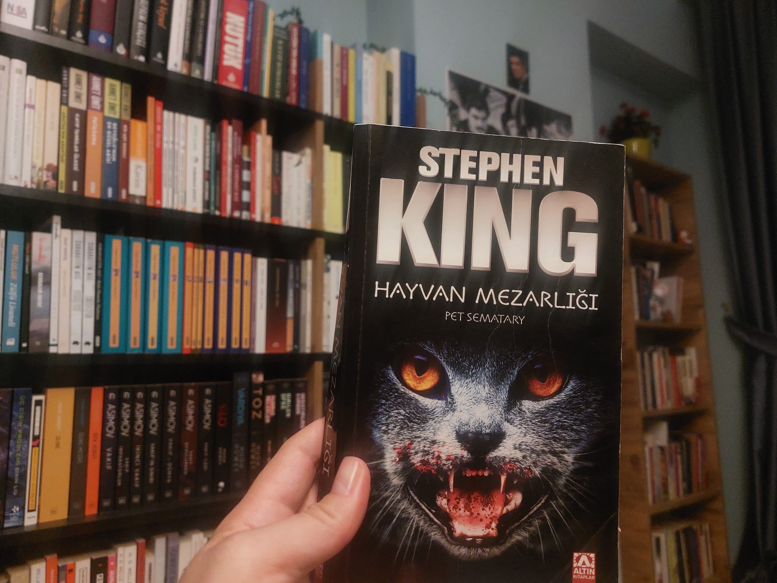 Turkish edition of Stephen King's 'Pet Sematary' with a cat's face featuring glowing red eyes on the cover, held in front of a bookshelf.