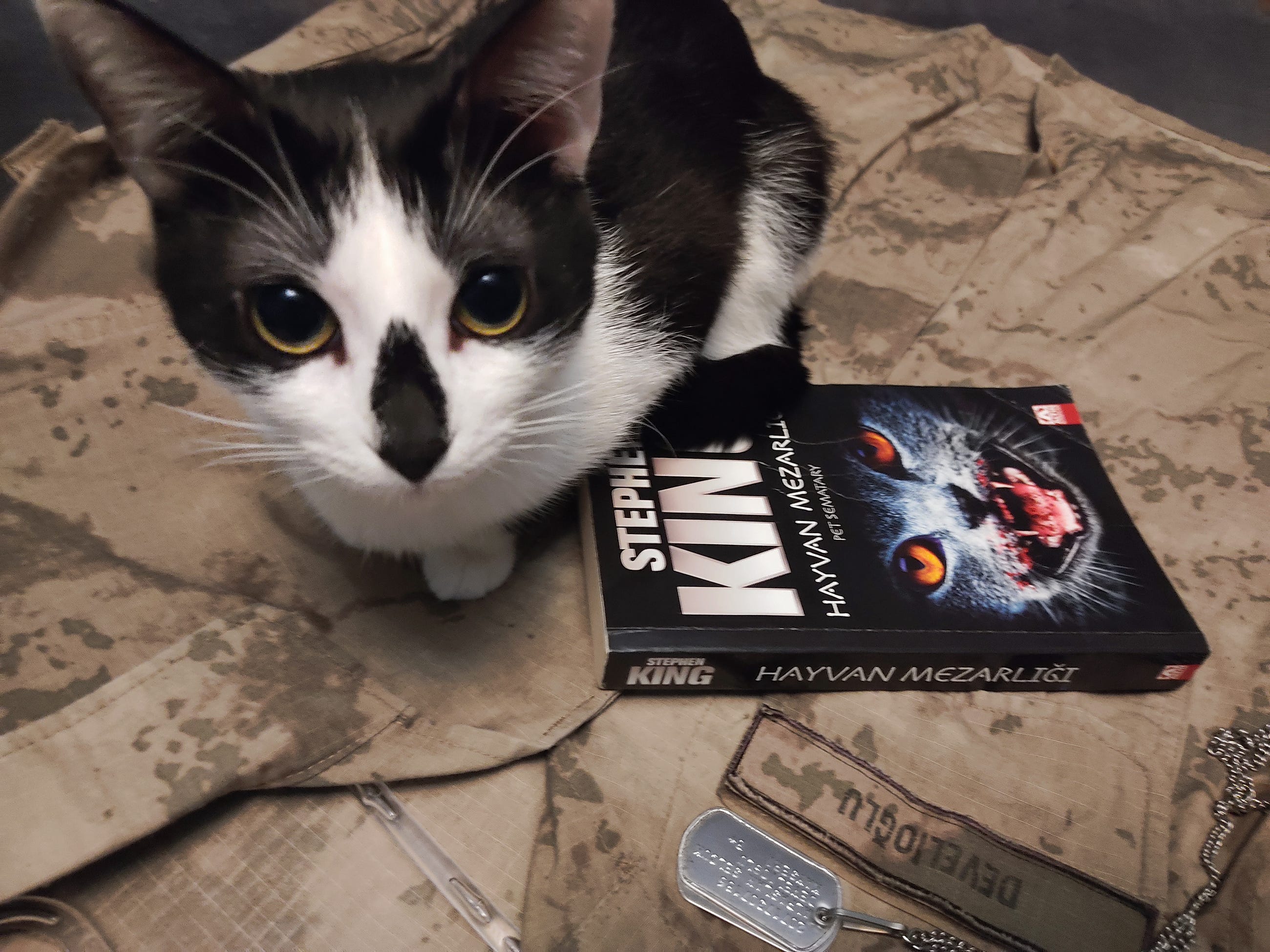 A black and white cat looks at the camera next to a copy of Stephen King's 'Pet Sematary' book.