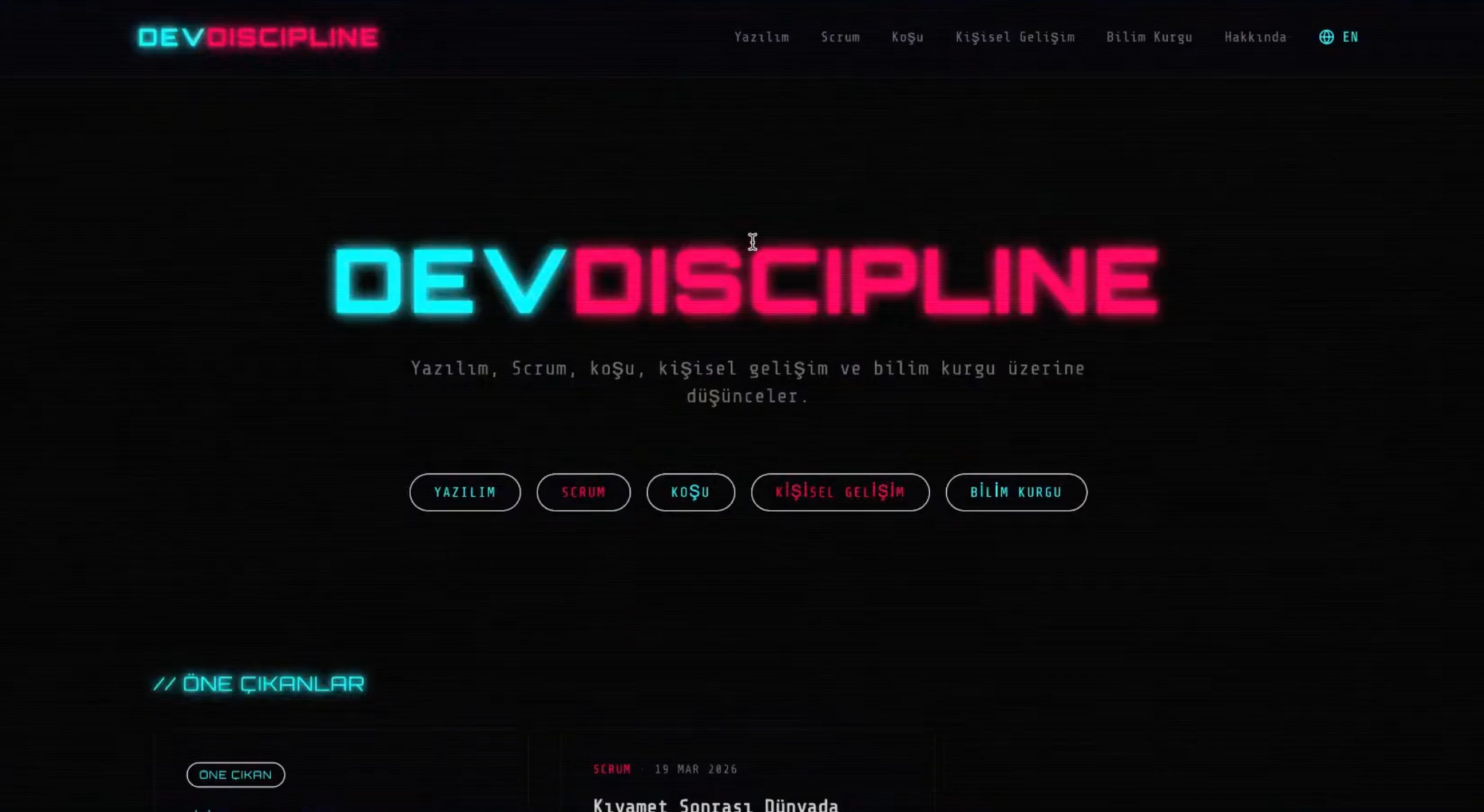 DevDiscipline website homepage featuring the platform's neon-styled logo and navigation menu for software development education content.