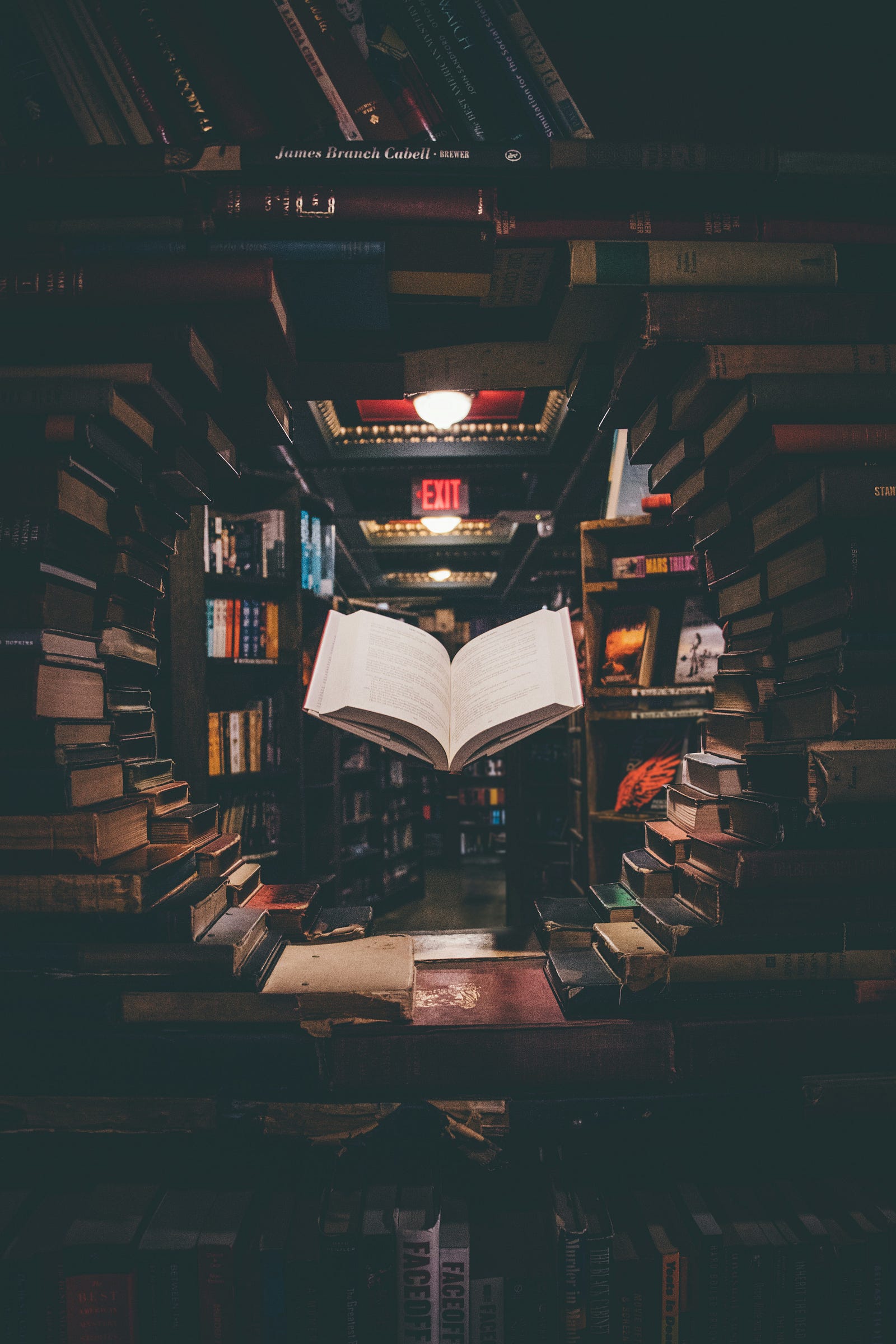Photo by  Jaredd Craig  on  Unsplash