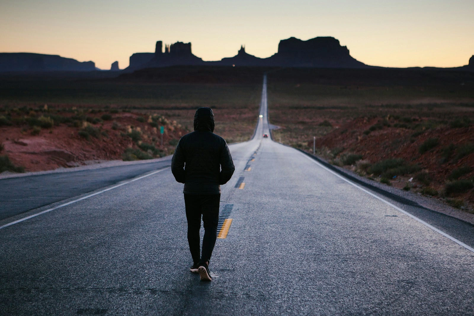Photo by  Tegan Mierle  on  Unsplash